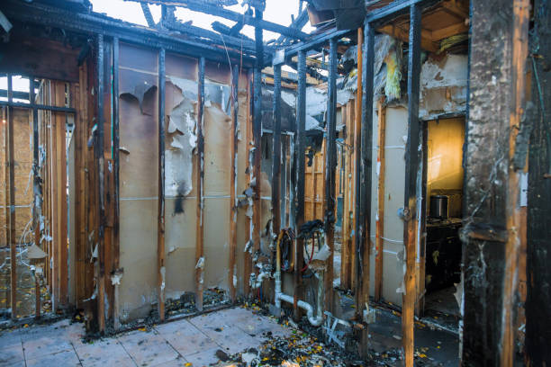 Professional Fire Damage Cleanup technician working in Marco Island, FL