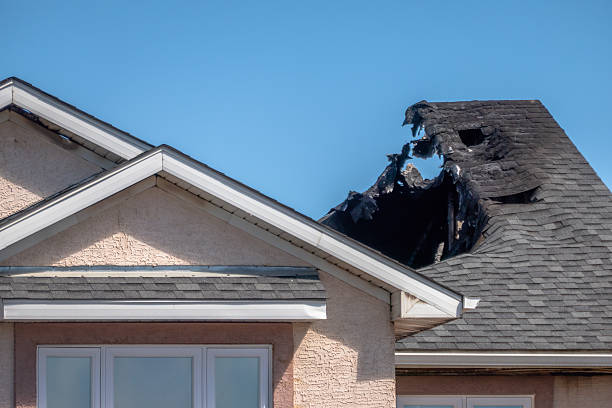 Top rated local Fire Damage Cleanup specialists in Marco Island, FL